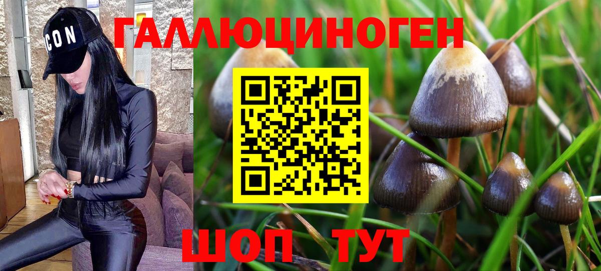 Галлюциногенные грибы MAGIC MUSHROOMS  Вход с VPN  купить наркотики сайты  Сатка 
