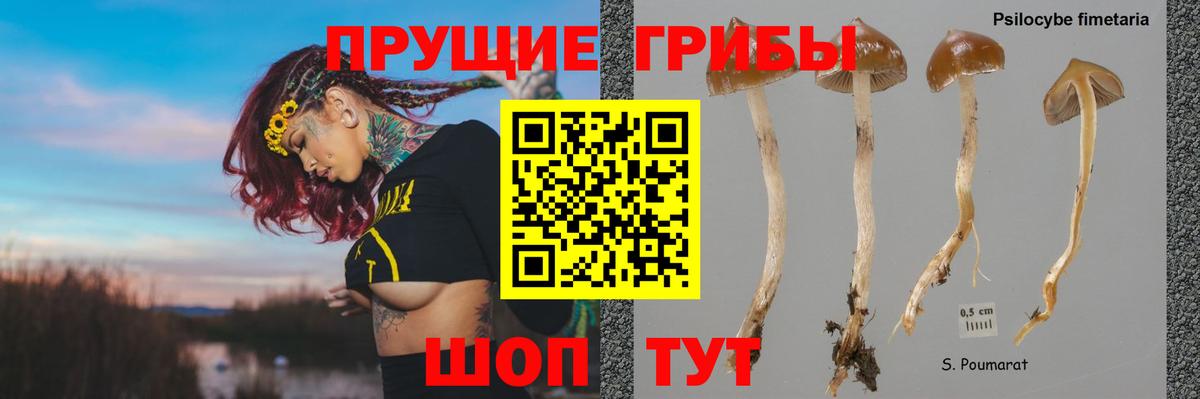 Псилоцибиновые грибы мухоморы Сатка